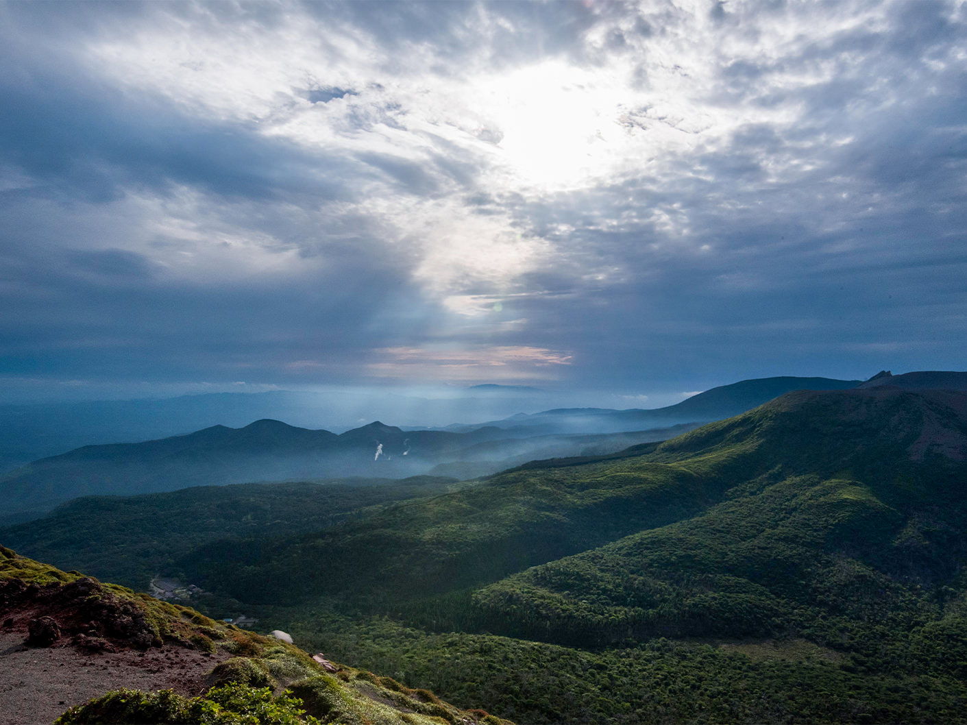 メディバンネップリ